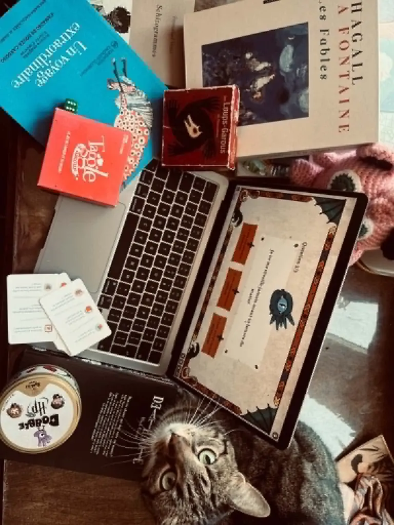 Kot Żąpjer wśród francuskich książek, gier i laptopa